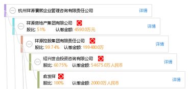 杭州祥源寰熙企業(yè)管理咨詢有限責任公司 信息技術咨詢服務的專業(yè)支持